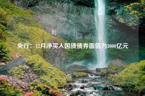 央行：12月净买入国债债券面值为3000亿元