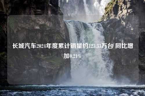 长城汽车2024年度累计销量约123.33万台 同比增加0.21%