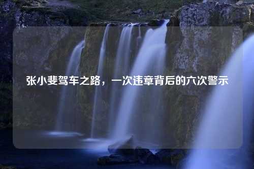 张小斐驾车之路，一次违章背后的六次警示