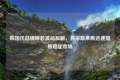 韩国代总统称若波动加剧，将采取果断迅速措施稳定市场