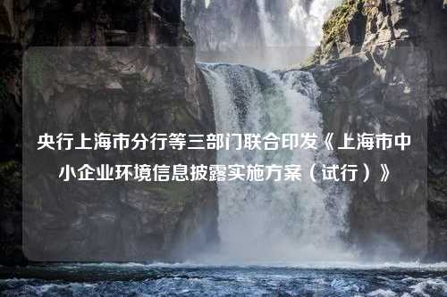 央行上海市分行等三部门联合印发《上海市中小企业环境信息披露实施方案（试行）》