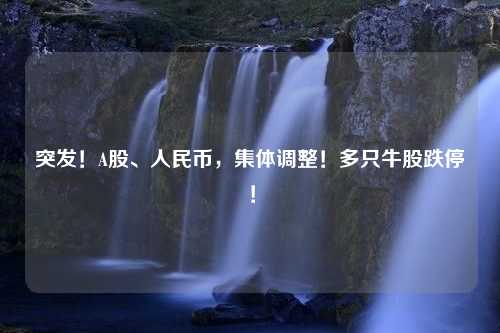 突发！A股、人民币，集体调整！多只牛股跌停！