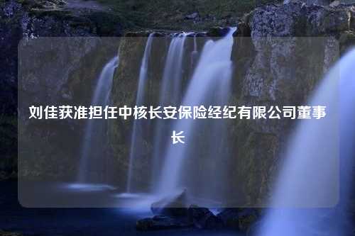 刘佳获准担任中核长安保险经纪有限公司董事长