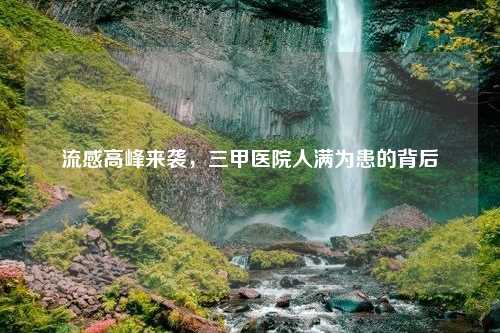 流感高峰来袭，三甲医院人满为患的背后