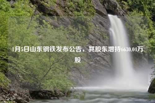 1月5日山东钢铁发布公告，其股东增持6630.04万股