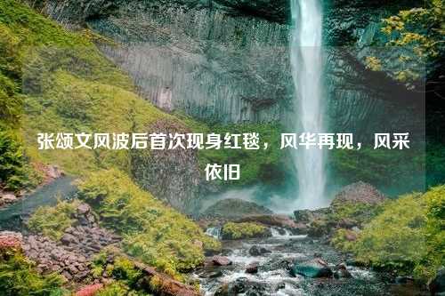 张颂文风波后首次现身红毯，风华再现，风采依旧