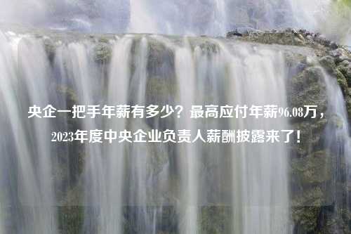 央企一把手年薪有多少？最高应付年薪96.08万，2023年度中央企业负责人薪酬披露来了！