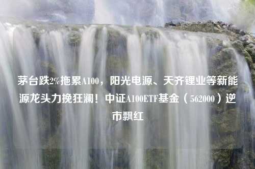 茅台跌2%拖累A100，阳光电源、天齐锂业等新能源龙头力挽狂澜！中证A100ETF基金（562000）逆市飘红