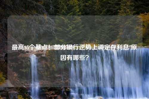 最高65个基点！部分银行逆势上调定存利息 原因有哪些？