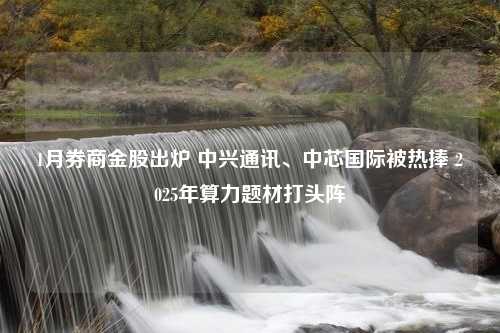 1月券商金股出炉 中兴通讯、中芯国际被热捧 2025年算力题材打头阵