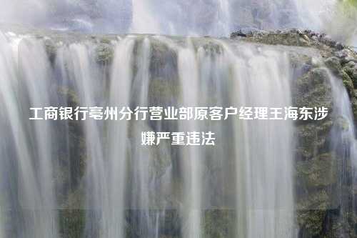 工商银行亳州分行营业部原客户经理王海东涉嫌严重违法