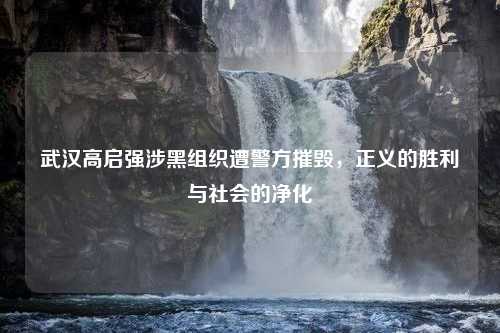 武汉高启强涉黑组织遭警方摧毁，正义的胜利与社会的净化