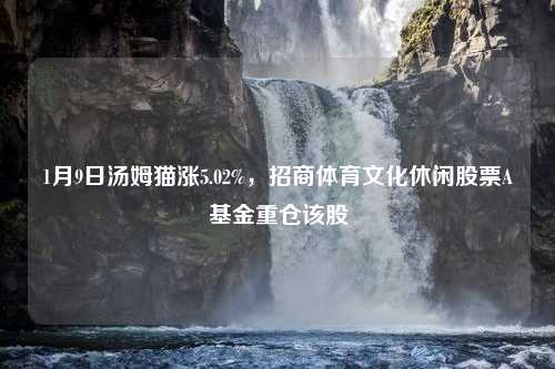 1月9日汤姆猫涨5.02%，招商体育文化休闲股票A基金重仓该股