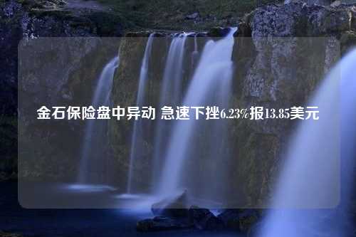 金石保险盘中异动 急速下挫6.23%报13.85美元