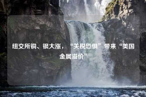 纽交所铜、银大涨，“关税恐惧”带来“美国金属溢价”