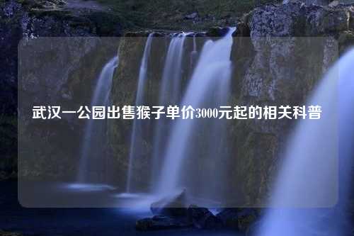 武汉一公园出售猴子单价3000元起的相关科普