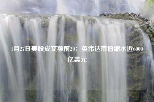 1月27日美股成交额前20：英伟达市值缩水近6000亿美元