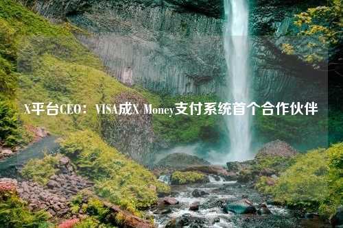 X平台CEO：VISA成X Money支付系统首个合作伙伴