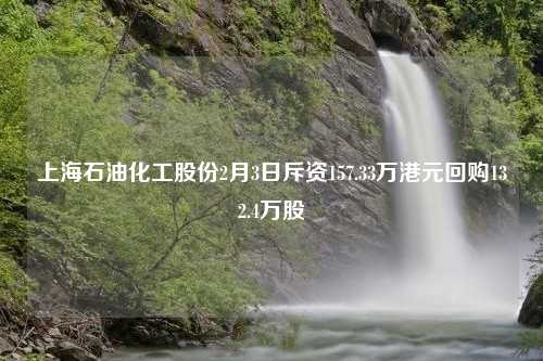 上海石油化工股份2月3日斥资157.33万港元回购132.4万股