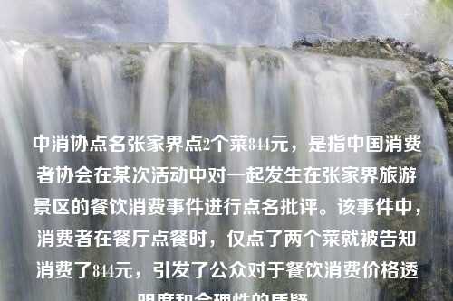 中消协点名张家界点2个菜844元，是指中国消费者协会在某次活动中对一起发生在张家界旅游景区的餐饮消费事件进行点名批评。该事件中，消费者在餐厅点餐时，仅点了两个菜就被告知消费了844元，引发了公众对于餐饮消费价格透明度和合理性的质疑。