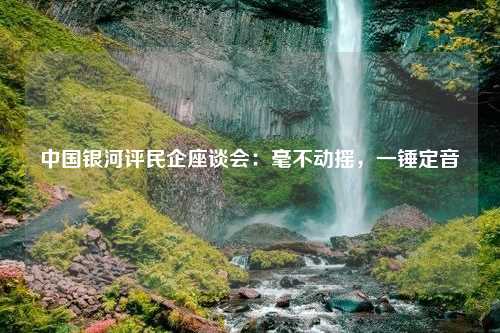 中国银河评民企座谈会：毫不动摇，一锤定音