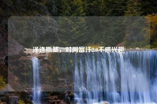 泽连斯基，对阿富汗2.0不感兴趣